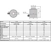 Гидравлический цилиндр с полым штоком Car-tool CT-3439