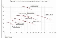 Насос ESQ ГНОМ-М 100-25-100/11-380 02.31.216206