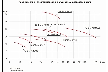Насос ESQ ГНОМ-М 100-25-100/11-380 02.31.216206