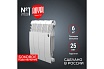 Радиатор Royal Thermo BiLiner 350/Bianco Traffico - 4 секции НС-1197118