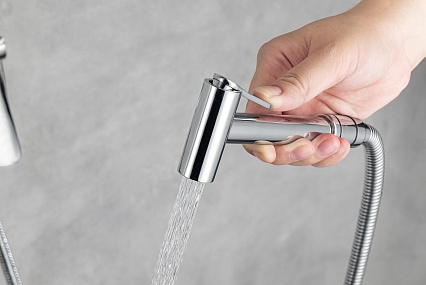 Смеситель Aquatek Вега AQ1019CR с гигиеническим душем, хром