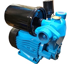 Насосная станция Greenpump WZ 370 с баком 2 л 20000881