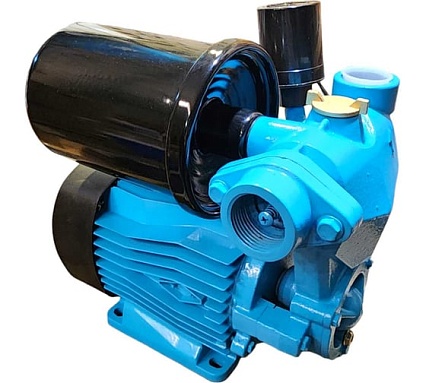 Насосная станция Greenpump WZ 370 с баком 2 л 20000881