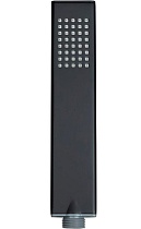 Душевая лейка Allen Brau Infinity 5.21022-31 черный матовый