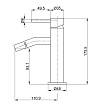 Смеситель для биде AQUAme Siena AQM6216GG глянцевое золото