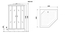 Душевая кабина Niagara Premium NG-6002-01D 100x100