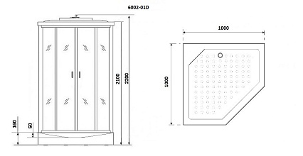 Душевая кабина Niagara Premium NG-6002-01D 100x100