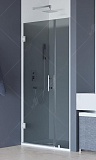 Душевая дверь RGW Hotel HO-012 120x195, тонированное стекло, хром