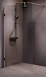 Душевая перегородка Am.Pm X-Joy W94WI-110-F1-BTE 110x195 черный матовый, прозрачное