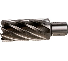 Сверло кольцевое (30х55 мм; HSS; Weldon 19) Euroboor HCL.300