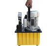 Маслянный гидравлический, поршневой насос с электроприводом Car-tool CT-E630