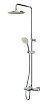 Душевая стойка Am.Pm Spirit V2.0 ShowerSpot F0770A510