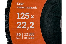 Круг лепестковый (125x22.2 мм; P100) Gigant G-11038