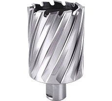 Фреза кольцевая №43 (49х55/88 мм; WELDON19; HSS M2) Профоснастка 40101043