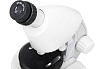 Микроскоп Discovery Micro Polar с книгой 77952