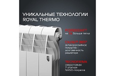 Радиатор Royal Thermo BiLiner 350 /Bianco Traffico VR - 10 секций НС-1196726