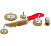 Набор кордщеток дисковых латунных для дрели (6 пр, 1/4", 25-75 мм) Rockforce RF-BWS601(29094)