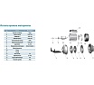 Центробежный насос LEO AMS 370/2.2 984