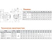 Вихревой самовсасывающий насос LEO APSm 60 496