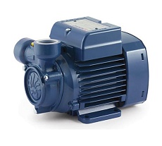 Насос Pedrollo PQm 65-Bs 41PNQ65YA1