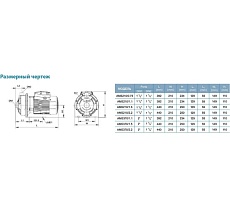 Центробежный насос LEO AMSm 210/1.5 975