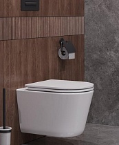 Подвесной унитаз Cezares Liner-Tor CZR-38083-49-TH-TOR/SC безободковый, смыв Торнадо, сиденье soft close