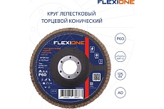 Круг лепестковый конический Flexione 125x22.2 мм, Р60 10000558