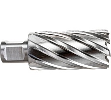 Фреза кольцевая HSS (32x55 мм; Weldon 19) Rotorica RT.4215032