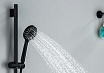 Душевой гарнитур Aquatek Бетта AQ2017MB черный матовый