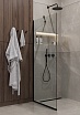 Душевая перегородка Timo TP-890/03C-8 89x195 прозрачное, черный