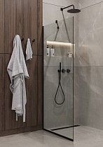 Душевая перегородка Timo TP-890/03C-8 89x195 прозрачное, черный