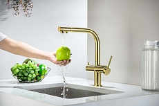 Смеситель для кухни Aquatek Европа AQ1385BG с подкл. к фильтру, шлифованное золото