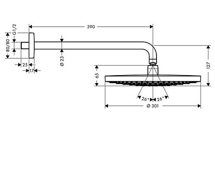 Верхний душ Hansgrohe Raindance Select S300 2Jet 27378400 хром/белый