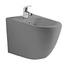 Подвесное биде Aquatek Европа AQ1016-MG серый матовый