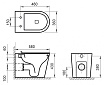 Приставной унитаз BelBagno Flay-R BB1003CBR безободковый