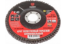 Круг шлифовальный лепестковый торцевой 125х22 мм, Р40 (компл. 10 шт.) HEADROCK 688-010-040