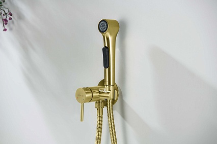 Смеситель Aquatek Европа AQ1020BG с гигиеническим душем, шлифованное золото Смеситель Aquatek Европа AQ1020BG с гигиеническим душем, шлифованное золото