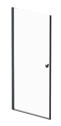 Душевая дверь Am.Pm Sunny W87G-90-1P-BT 90x190 прозрачное, черный матовый