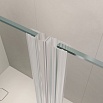 Душевая дверь RGW Leipzig LE-08 100x195 распашная 351200864-11