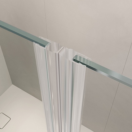 Душевая дверь RGW Leipzig LE-08 100x195 распашная 351200864-11