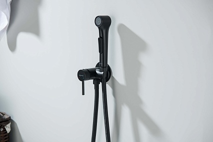 Смеситель Aquatek Европа AQ1020MB с гигиеническим душем, черный матовый Смеситель Aquatek Европа AQ1020MB с гигиеническим душем, черный матовый