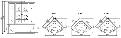 Душевая кабина Timo Standart T-1125 120x120