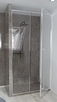 Душевая дверь Радомир Дарья BO 100х220 см прозрачная, хром, правая 1-63-2-2-0-355