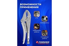 Гейферный зажим Forsage с двойным овальным захватом 10&quot;-250мм, в блистере F-614250J(421)