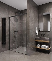 Душевая дверь Timo TDSS-120/03C-8R 120x200 прозрачное, черный