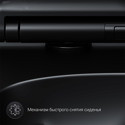 Подвесной унитаз Am.Pm X-Joy S C85A1700MBSC FlashClean, черный матовый