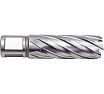 Сверло корончатое HSS по металлу (21х55/88 мм; Weldon 19) D.BOR CD-HSS-055-021-W