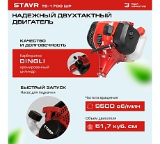 Триммер бензиновый Ставр ТБ-1700ШР 2.3 л.с., 51.7 см³, 480/255 мм, разборная штанга, праймер, комплект 9070200226