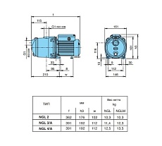 Самовсасывающий электронасос Calpeda NGLM 3/A 230/50 Hz 100381794