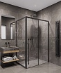 Боковая стенка Timo TSS-1000/03C-8 100x200 прозрачное, черный